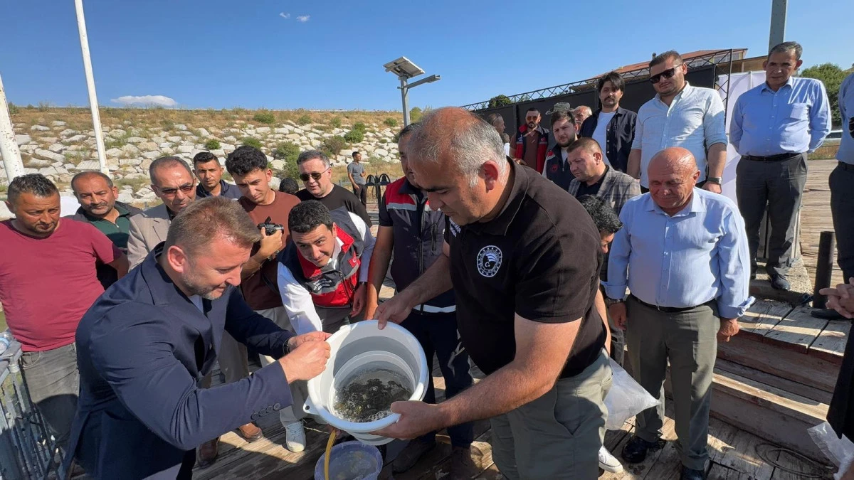 AKSARAY'DAKİ SU KAYNAKLARINA 493 BİN YAVRU SAZAN BIRAKILDI