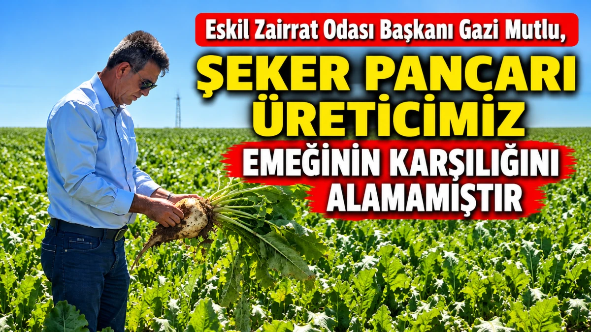 GAZİ MUTLU: &ldquo;ŞEKER PANCARI &Uuml;RETİCİMİZ EMEĞİNİN KARŞILIĞINI ALAMAMIŞTIR&rdquo;