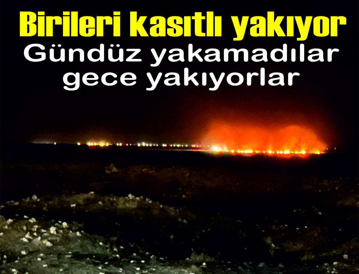 Gündüzleri yakamadılar, gece yakıyorlar